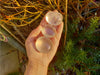 Girasol Quartz Crystal Palm Stone - A Grade TheQuirkyPagan