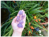 Lilac Amethyst Tumble Stone TheQuirkyPagan